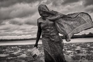 Veiled by the wind