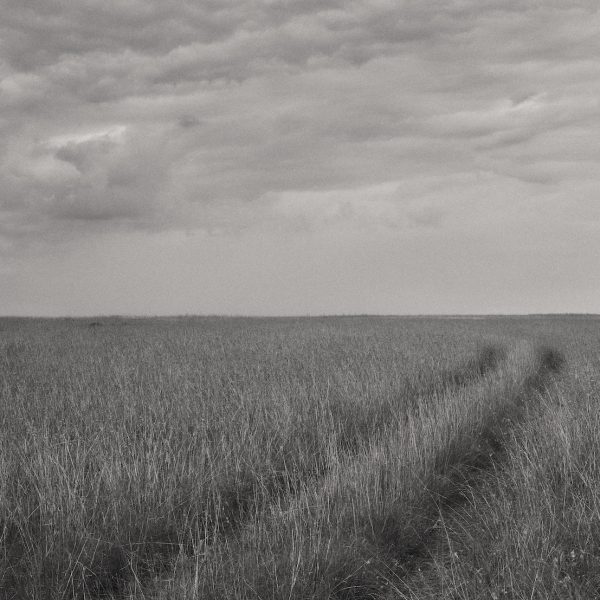 5. Serengeti plains, Tanzania, 1x1